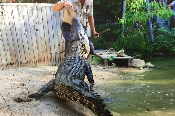 Cairns City Tour - Additional Info and Cancellation Policy