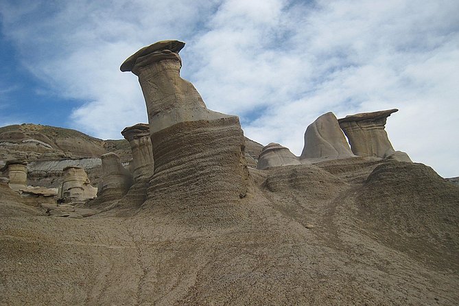 Calgary to Royal Tyrrell Museum Drumheller – PRIVATE TOUR - Cancellation Policy
