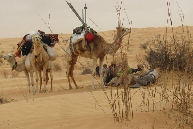 Camel Ride and 1 Night in the Desert - Weather and Minimum Travelers