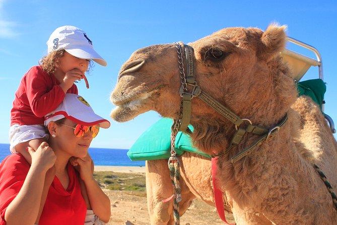 Camel Ride & Encounter at Los Cabos - Ecological Reserve Trek
