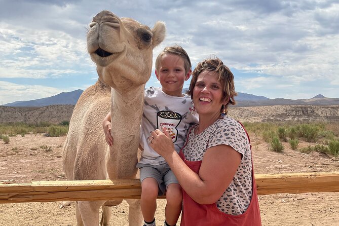 Camel Safari - Camel Ride and Zoo Tour - Insights From Visitor Reviews