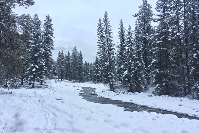 Canadian Rockies Full-Day Winter Tour From Calgary or Banff - Common Questions