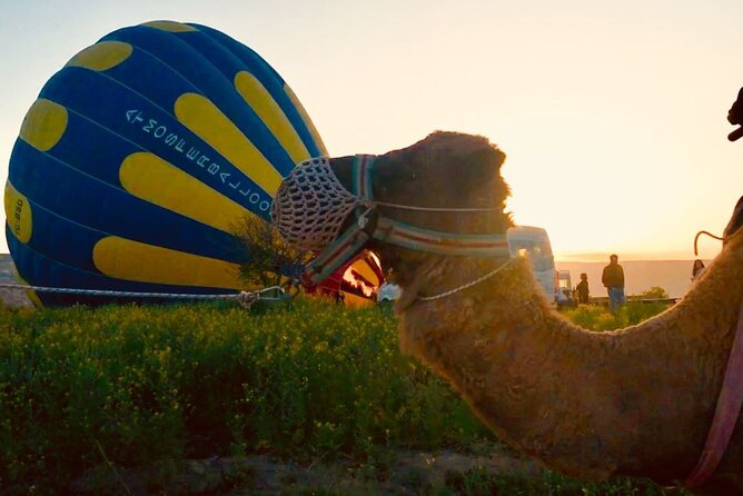 Cappadocia Sunrise Camel Safari - Best Time to Experience the Sunrise Camel Safari