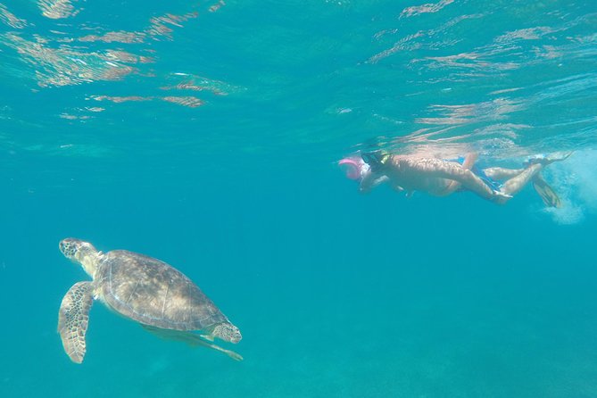 Captain Bob Speed Boat/Snorkeling/Beach Tour Lunch St Maarten - Booking Information and Contact Details