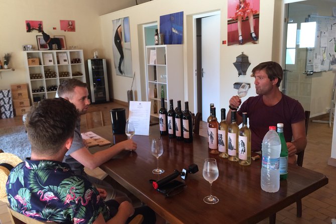 Carcassonne Private Half-Day Winery Visits and Tasting - Directions and Logistics
