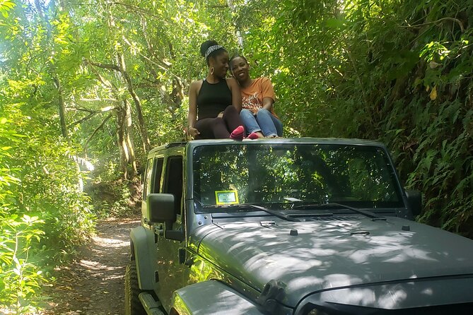 Caribbean Off Road Driving Tour  - St Kitts - Positive Reviews