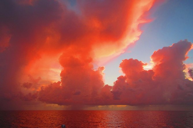 Castaway the Day Sunset Cruise in Miami - What To Expect