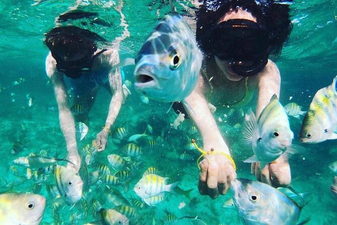 Catamaran Party Boat Half Day Trip With Snorkeling and Natural Pool - Exploring the Natural Pool