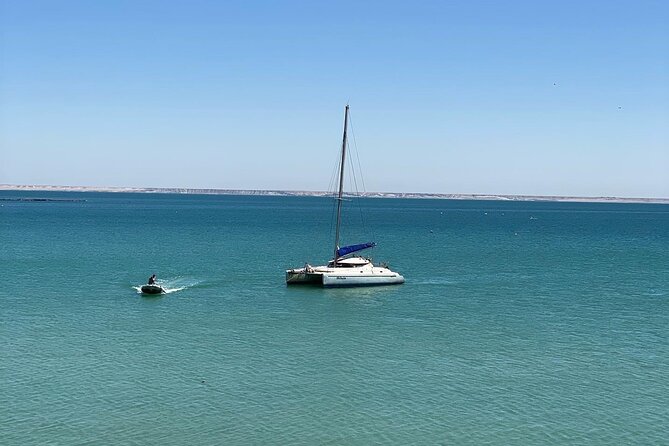Catamaran Trip in the Big Bay of Dakhla - Additional Traveler Information and Policies