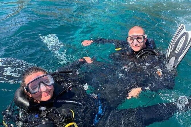Catania: Scuba Diving Experience - Vibrant Marine Flora and Fauna Encounters