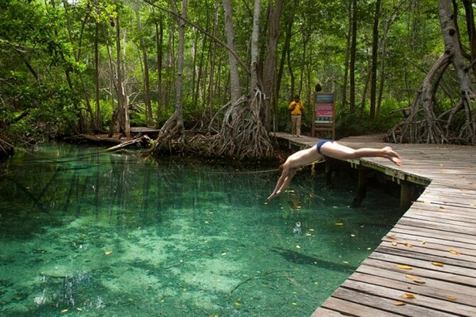 Celestun Beach and Mangrove Boat Ride From Merida - Natural Beauty and Vegetation