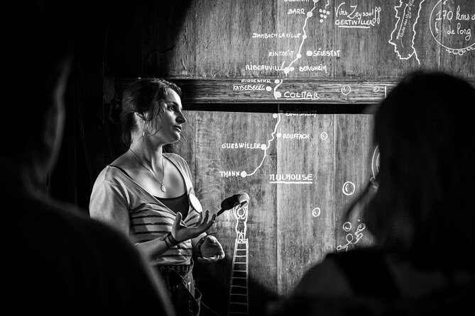 Cellar Visit and Gourmet Wine - Tea Time Around Wine - Competitive Pricing