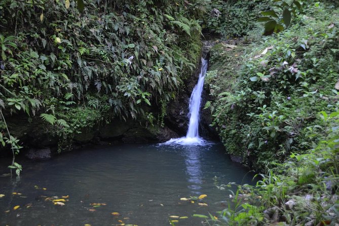 Center of Puerto Rico Day Tour. a True Cultural Experience - Tour Details