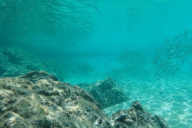 Certified Guided Reef Dive in St Thomas - Additional Information