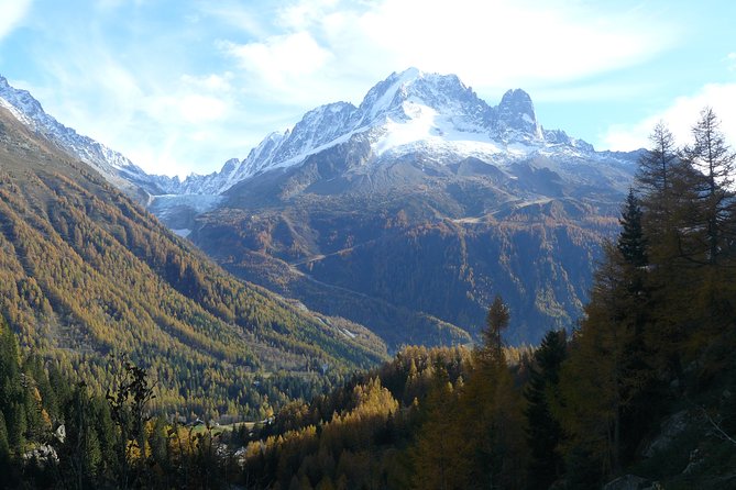 Chamois Observation - Hiking Day - The Sum Up