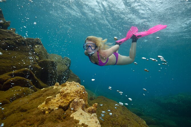 Champagne Reef, Bubble Beach and Scotts Head Snorkeling Tour by Boat in Dominica - Complaint About Tour Company
