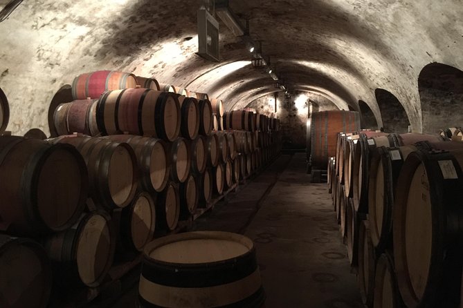 Charming Rhein Castle Visit & Tasting Wine Along the Rhein - Scenic Rhein River Views