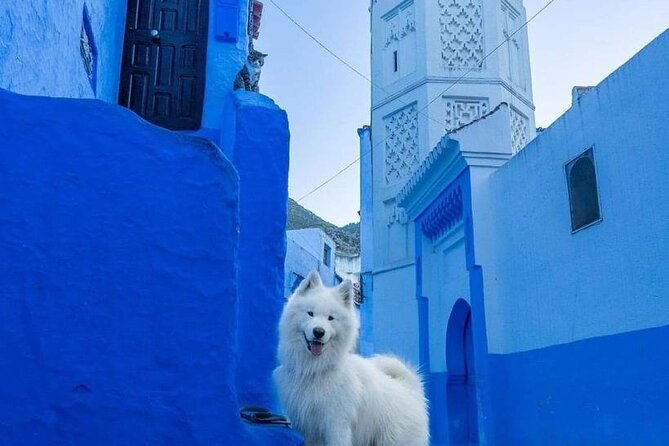 Chefchaouen Private Day Trip From Fes - Tips for Exploring Chefchaouen