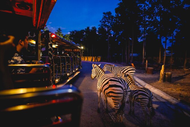 Chiang Mai Night Safari Ticket - Reviews