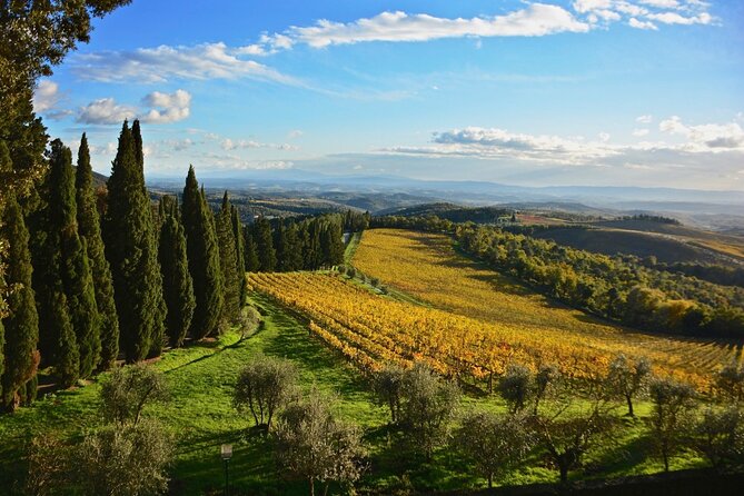 Chianti & Supertuscan Private Tour 2 Wineries With Light Lunch - Visiting Two Wineries on the Tour