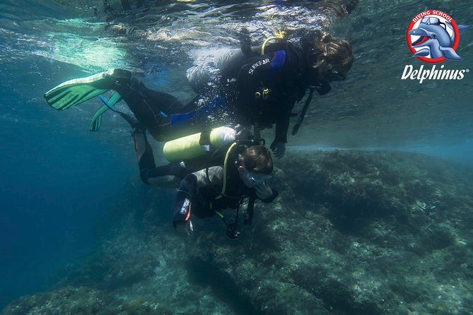 Childrens PADI Diving Experience in Gran Canaria - Schedule and Planning