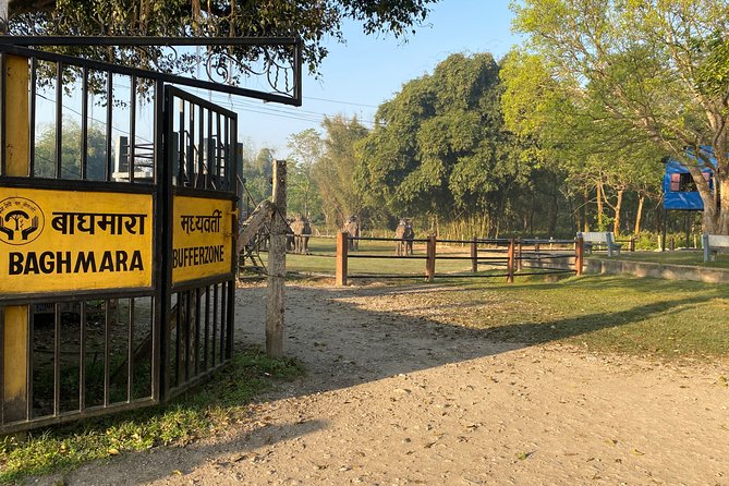 Chitwan Jungle Safari Tour - Cultural Experiences
