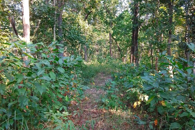 Chitwan National Park Bird Watching Untouched Side From Madi - Common Questions
