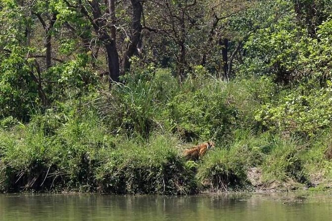 Chitwan National Park Unique Activities From Untouched Side Madi - Good To Know