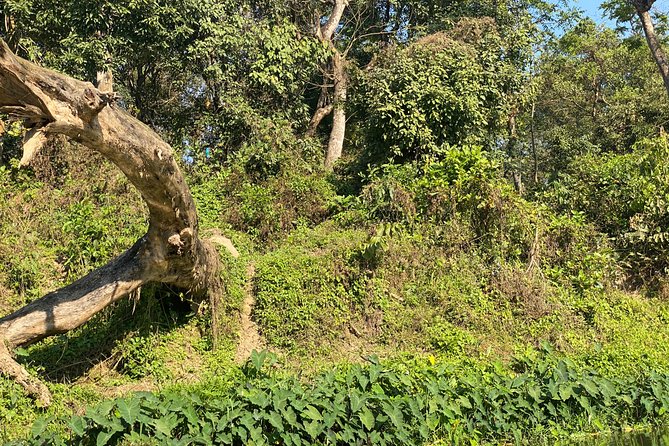 Chitwan Safari for 2 Nights 3 Days - Cultural Experiences