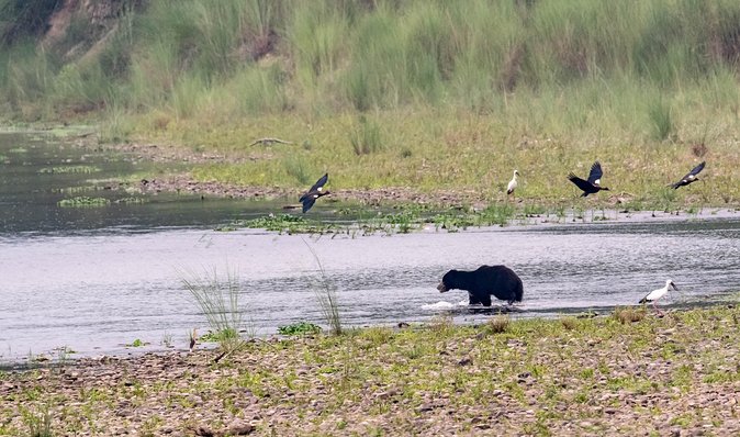 Chitwan Tour Packages - Pricing
