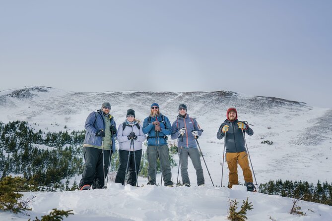 Chugach State Park Easy Snowshoeing Adventure  - Anchorage - Physical Requirements and Cancellation Policy