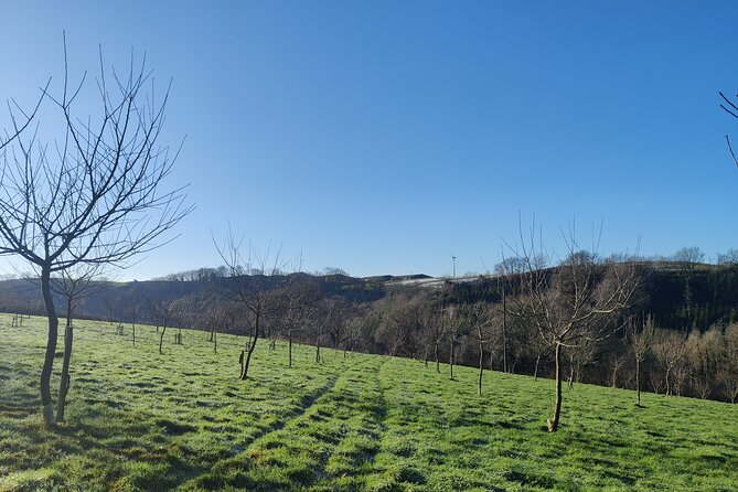 Cider Orchard and Vineyard Tour - Whats Included in the Tour Package