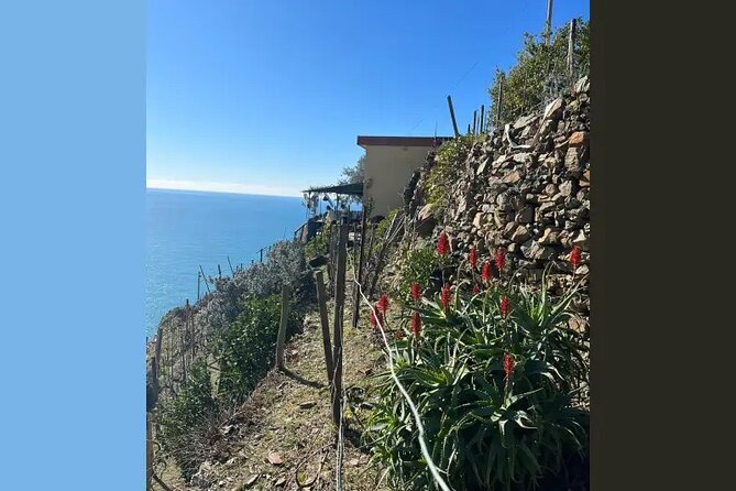 Cinque Terre: Pesto Cooking Class With Sea View in Riomaggiore - Take Home Homemade Pesto as a Souvenir