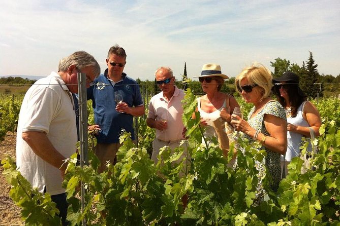 Cité De Carcassonne and Wine Tasting Private Day Tour From Toulouse - Wine Tasting Experience