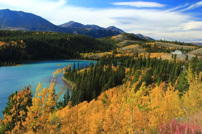 City and Mountain Summit Shore Excursion in Skagway - Additional Information and Requirements