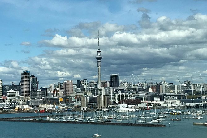 City to Surf Signature Private Tour - Pricing and Options
