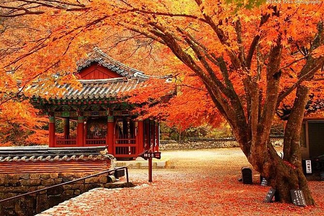 Classic Naejangsan National Park One Day Tour (Autumn Limited） - Recommended Activities and Attractions in the Park