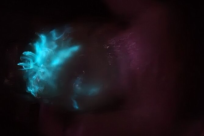 Clear Kayak Florida Bioluminescence Tour Beacon 42 (Titusville) - Cancellation Policy