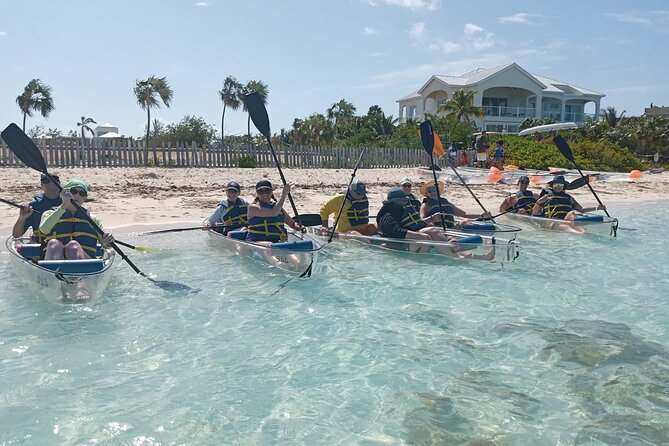 Clear Kayak Tour of Mangroves in Turks and Caicos  - Providenciales - Traveler Testimonials