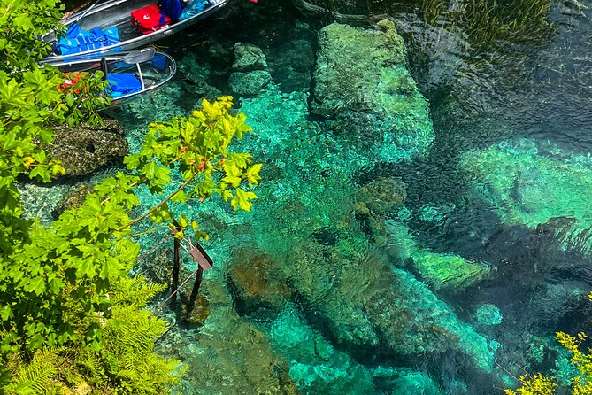 Clear Kayaking Eco Adventure Tour in Marianna - Weight and Age Restrictions