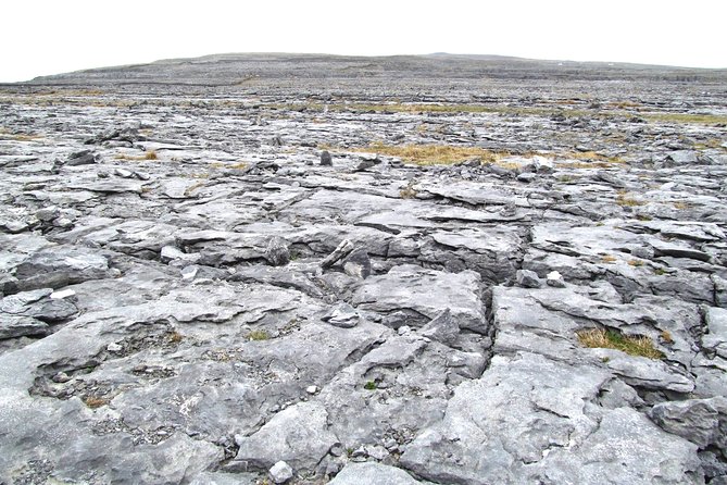 Cliffs of Moher, Galway - Private Shore Excursion - Enjoy Lunch at a Pub in Doolin