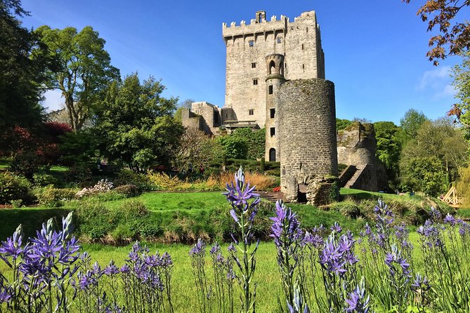 Cobh (Cork) to Blarney Castle & Kinsale - Shore Excursion - Additional Information