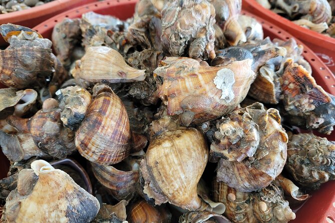 Cod Auction and Clam Auction in Winter - What To Expect