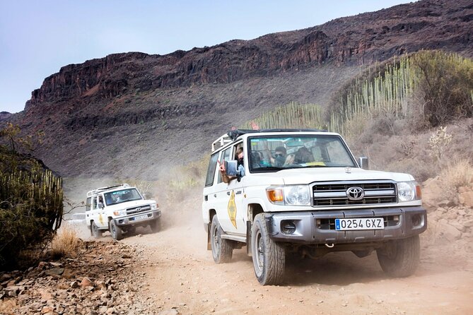 Cofete Sunset 4x4 Safari With Dinner in Punta De Jandia - Pricing and Value