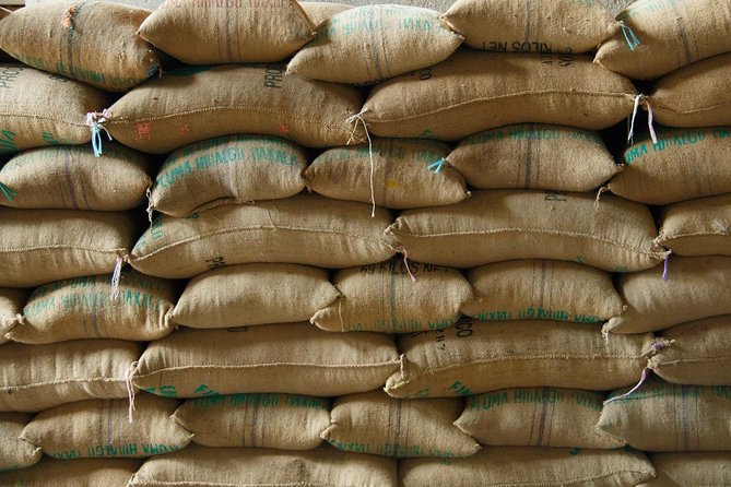 Coffee Plantation Experience - Affordable Pricing Options