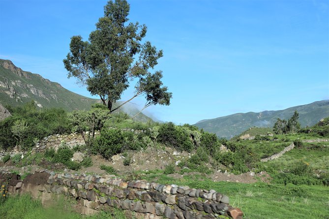 Colca Canyon / 2 Day 1 Night Trek - Reviews