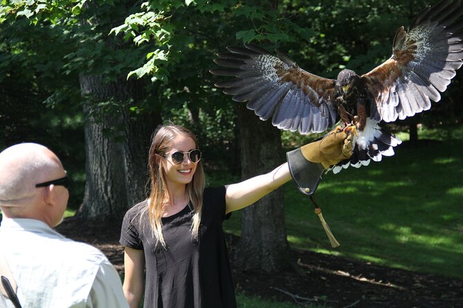 Colorado Springs Hands-On Falconry Class and Demonstration - What to Expect