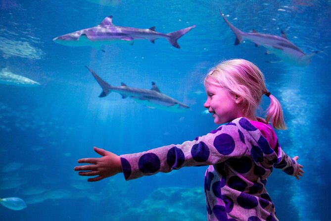 Combi Ticket: LEGOLAND Discovery Centre & SEA LIFE Oberhausen - Opening Hours