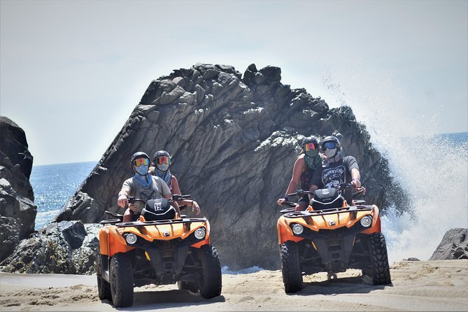 Combo Double Atv Horses - What to Expect
