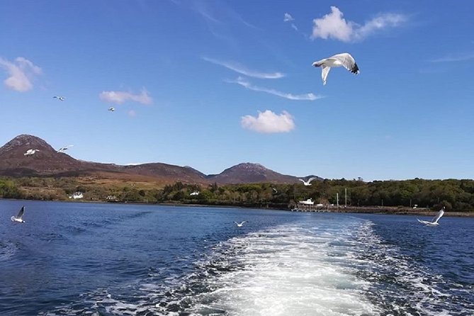 Connemara & Inishturk Island Wildlife Watching Cruise. Private Guided Full-Day - Directions to Cleggan Pier